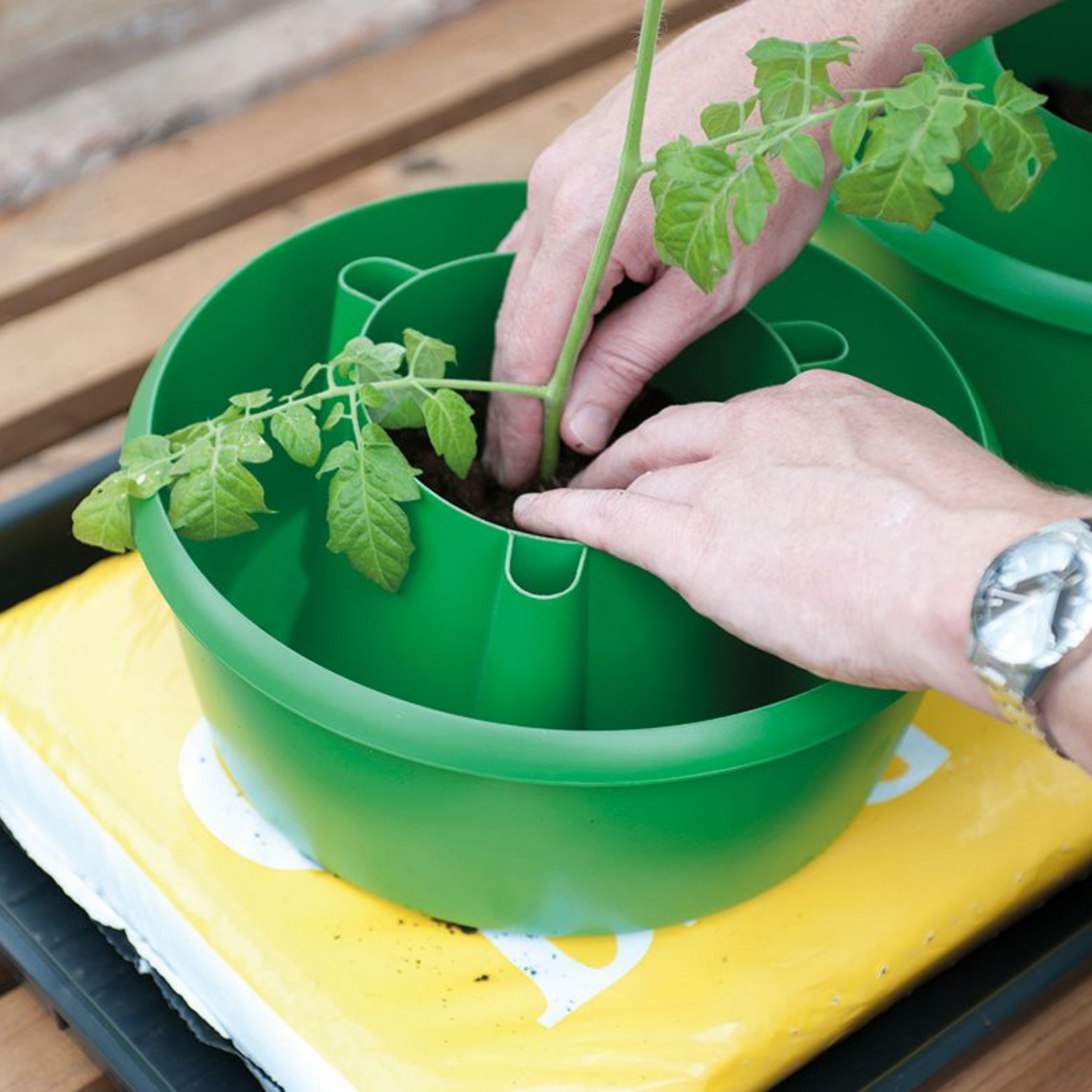 Creation Garden Supplies G167G Plant Halos on Grow Bag WateringGarden supplies plant supplies garden trays garland propagators gardening products uk 