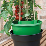 Creation Garden Supplies G167G Plant Halos on Grow Bag WateringGarden supplies plant supplies garden trays garland propagators gardening products uk 