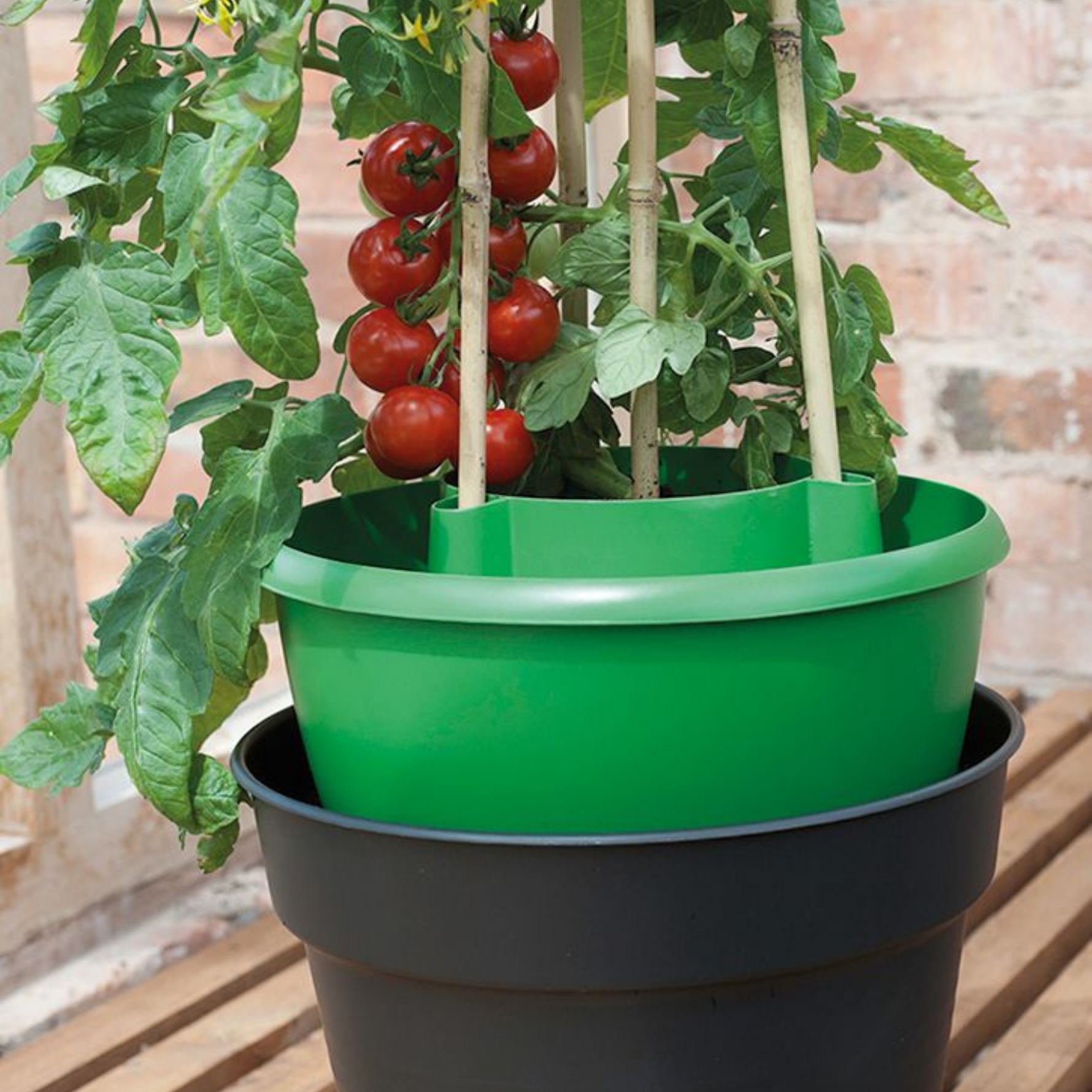 Creation Garden Supplies G167G Plant Halos on Grow Bag WateringGarden supplies plant supplies garden trays garland propagators gardening products uk 