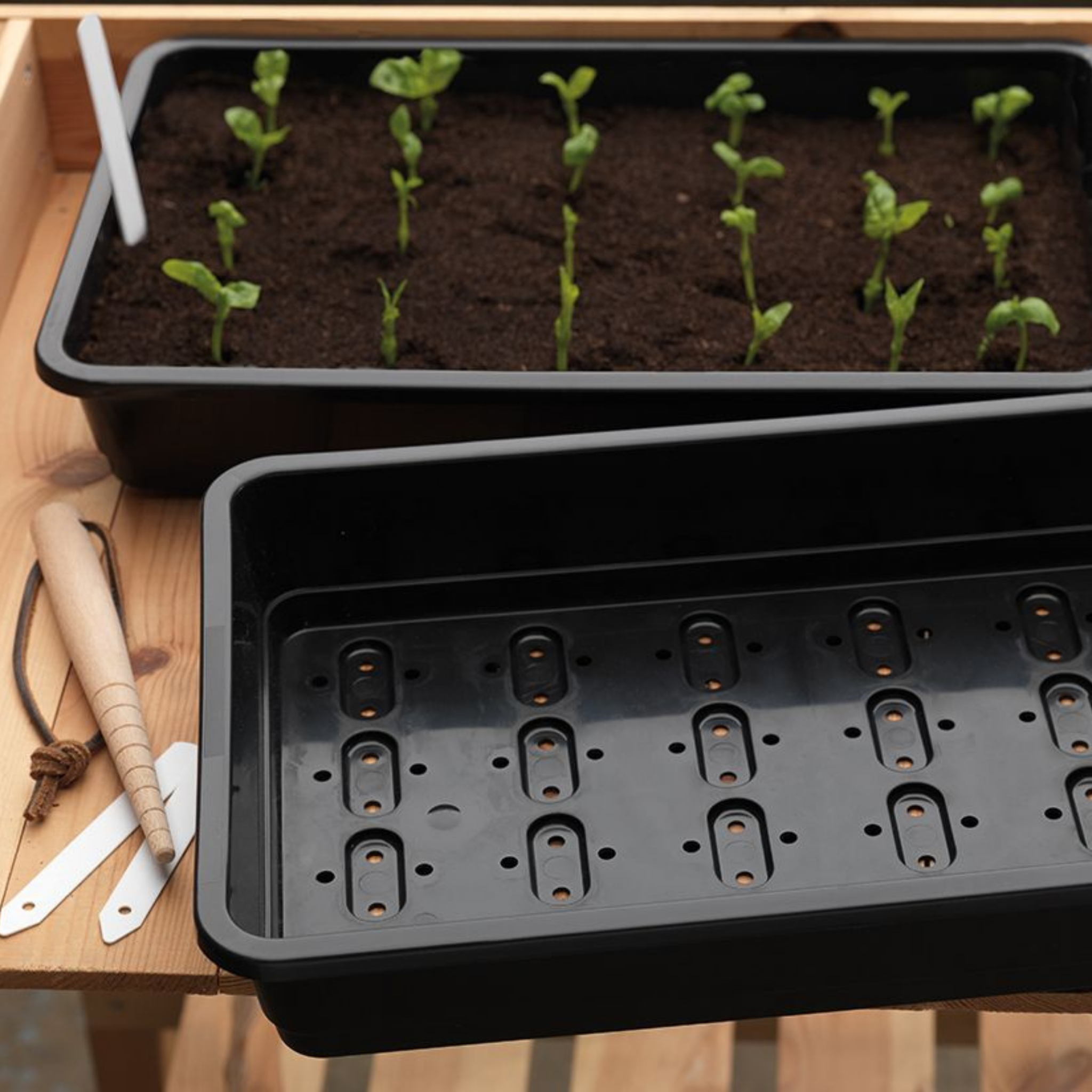 Creation Garden Supplies G17B Garland Standard Seed Tray Black 4