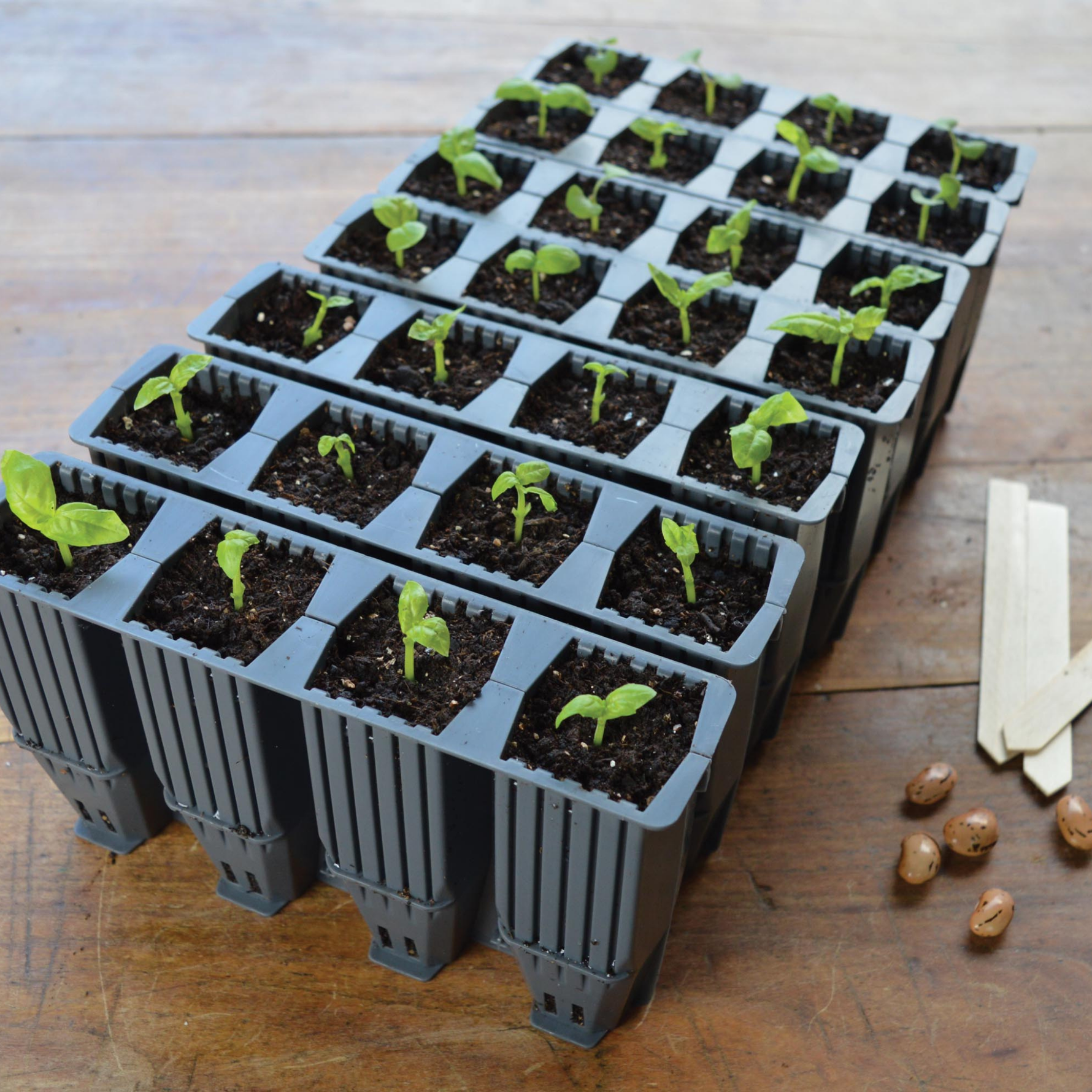 CreationGarden Supplies_G229 28 Cell Deep Root Plant Cells Planted 2 No Tray Or Lid Garden supplies plant supplies garden trays garland plant cells plant trays gardening products uk 