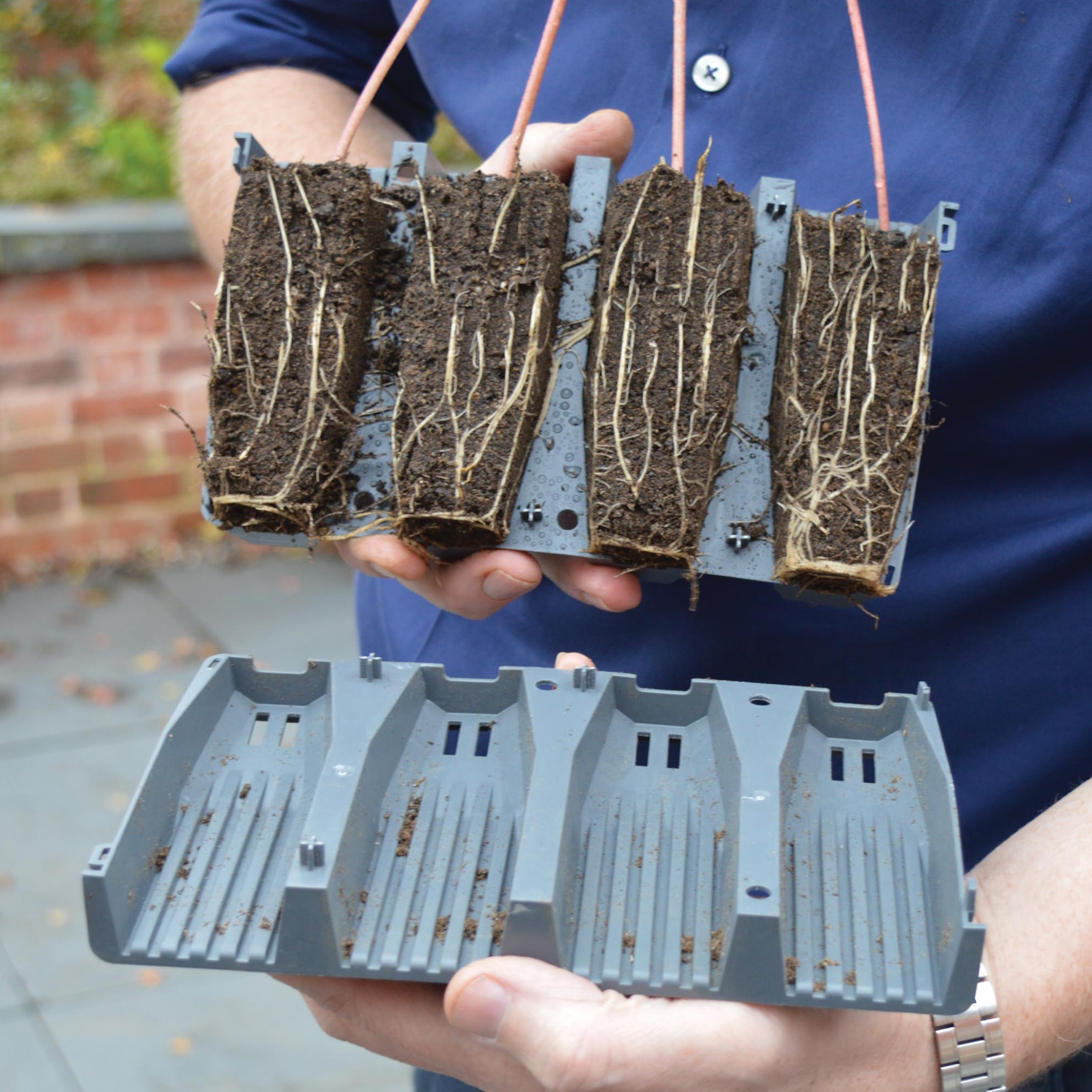 Creation Garden Supplies_G229 28 Cell Deep Root Plant Cells Planted 2 No Tray Or Lid Garden supplies plant supplies garden trays garland plant cells plant trays gardening products uk 2