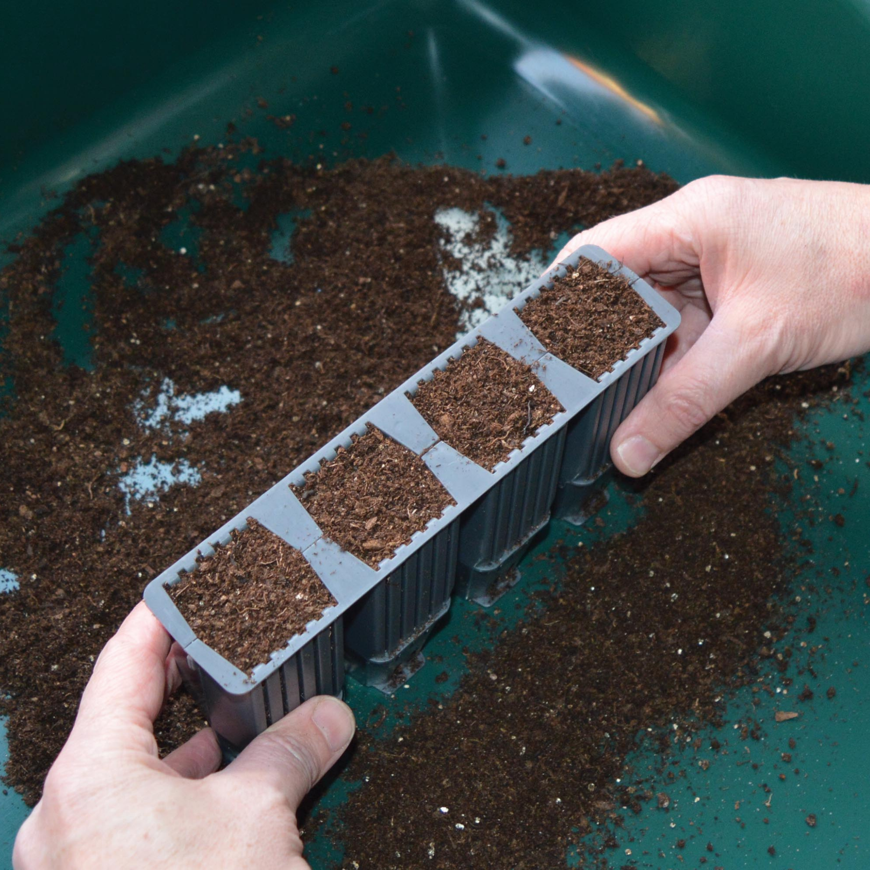 Creation Garden Supplies_G229 28 Cell Deep Root Plant Cells Planted 2 No Tray Or Lid Garden supplies plant supplies garden trays garland plant cells plant trays gardening products uk 