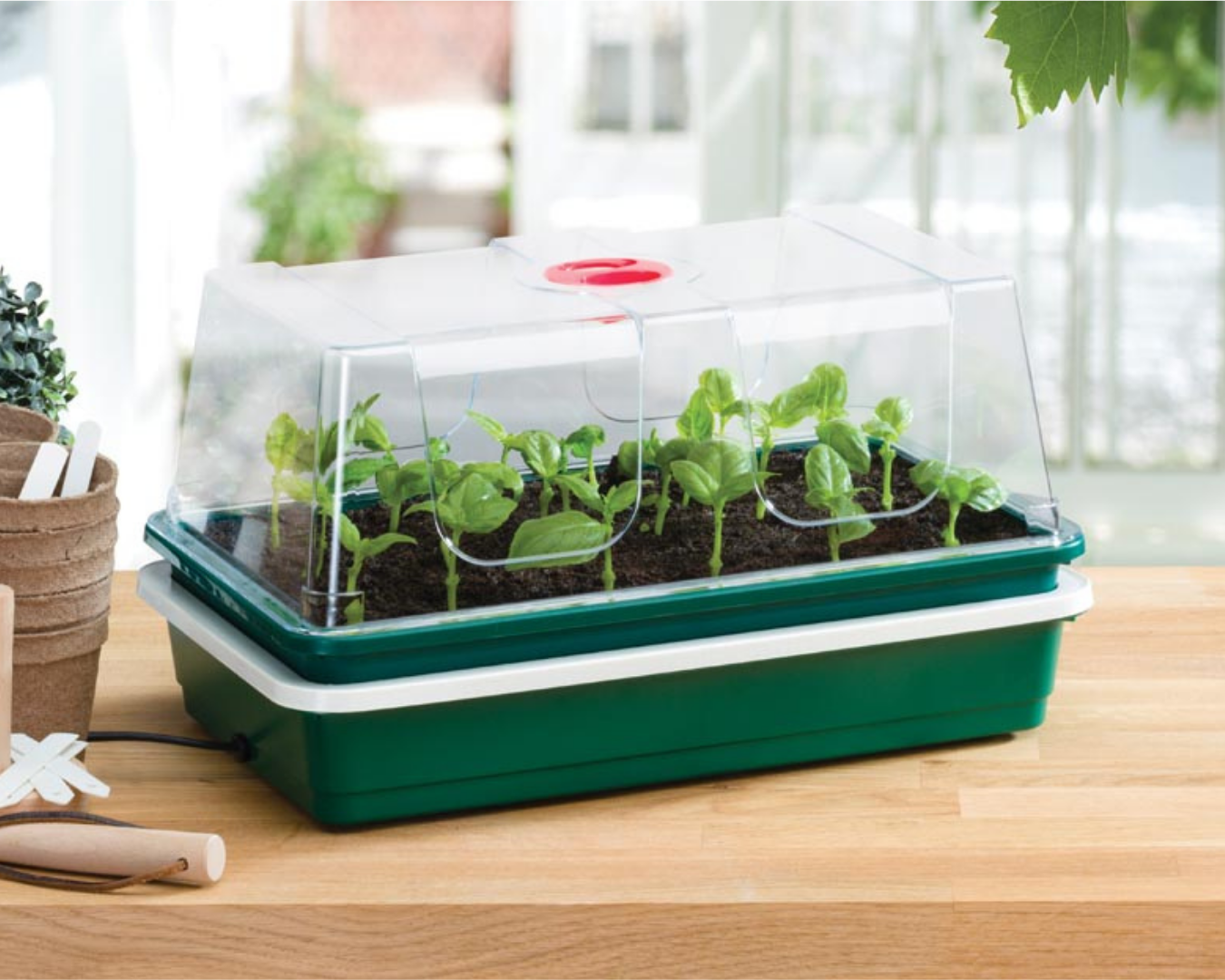 Creation Garden Supplies Garland Propagator Lid Propagator Base Seed Tray Garden Supplies UK