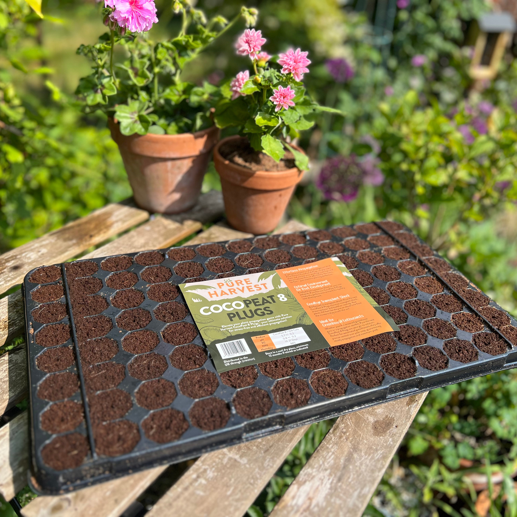 Creation Garden Supplies Pure harvest coco peat 8 plugs propagation plugs seed starter plugs starter plugs for plants rooting plugs cloning plugs  garden accessories gardening products uk 