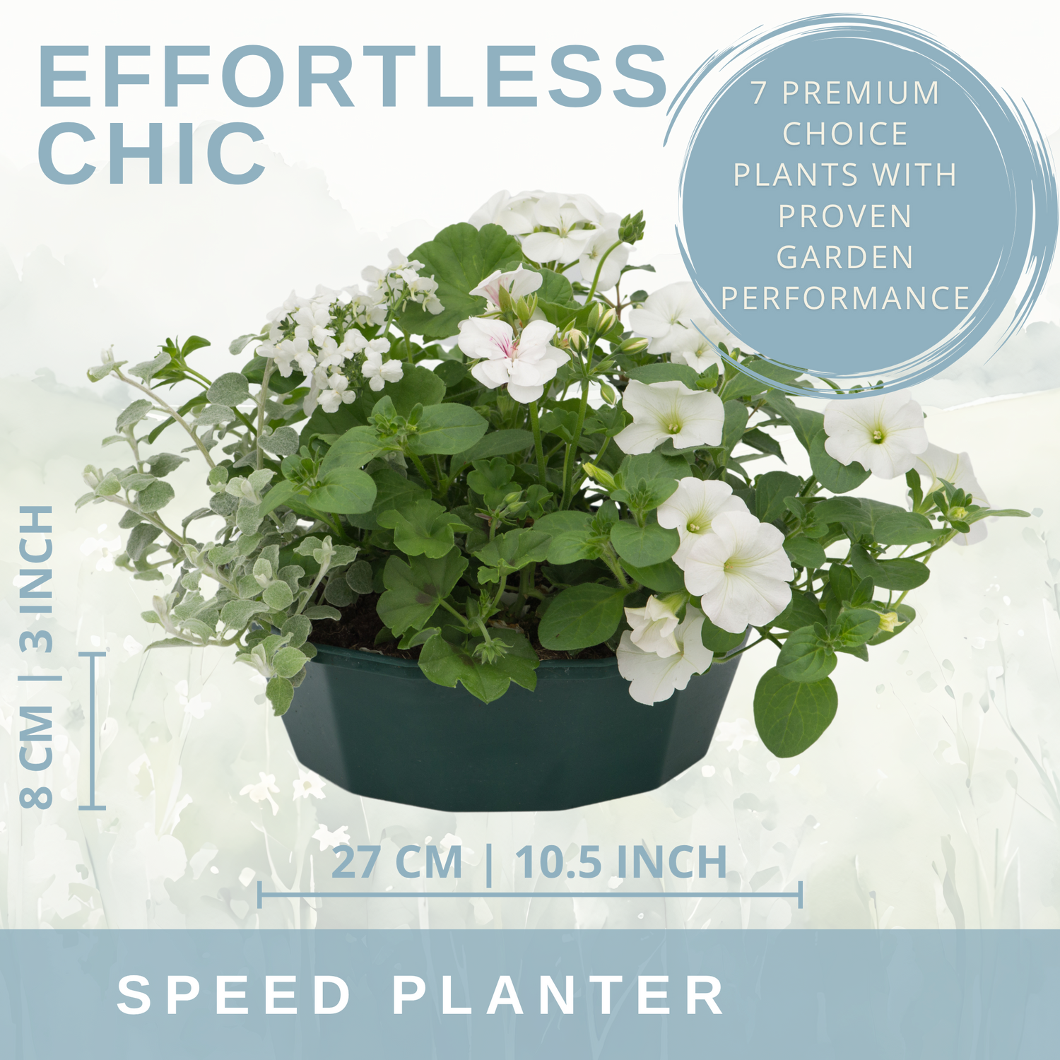 7 Colour Coordinated Plants - Effortless Chic Theme Speedplanter, Garden Ready