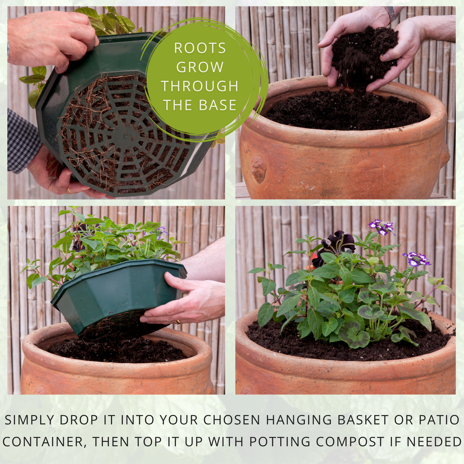 Herb Alfresco Mixed SpeedPlanter – 7 Fresh Culinary Herbs, Garden Ready