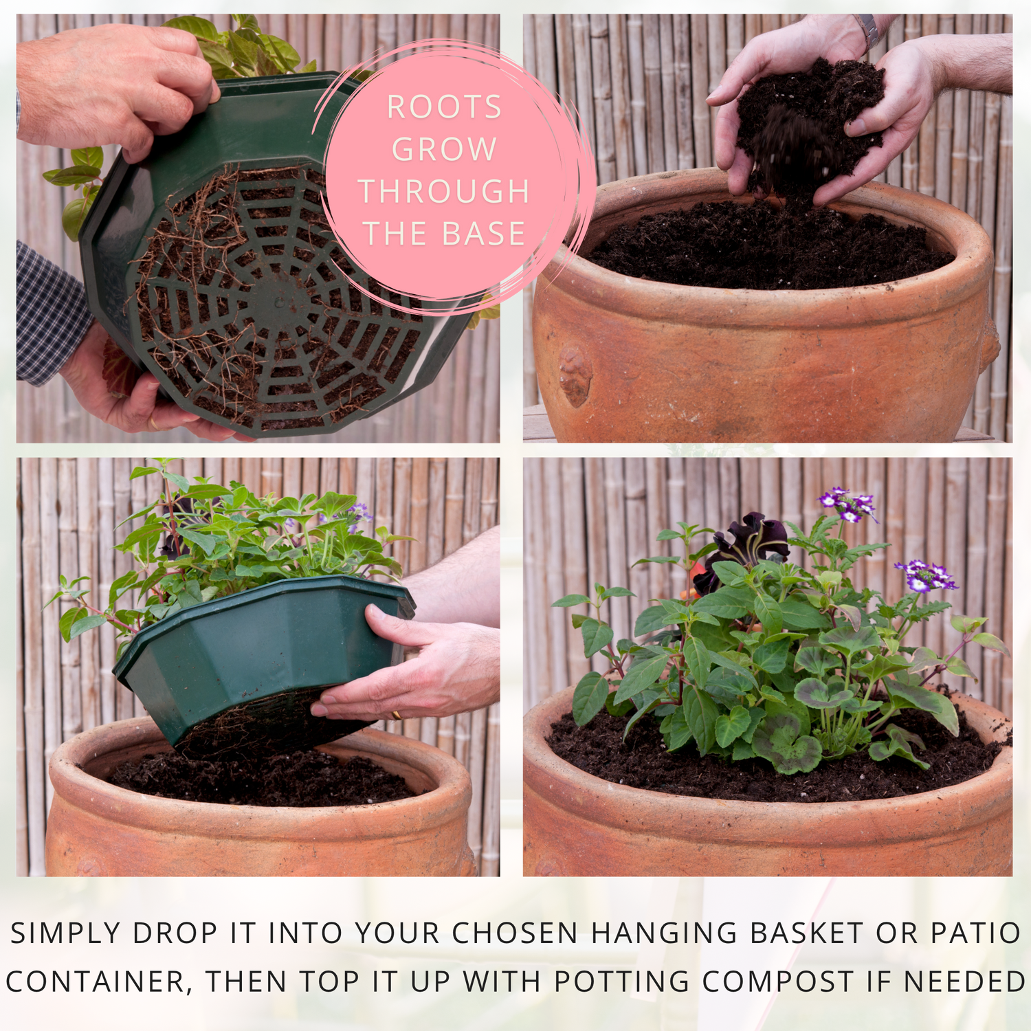 7 Colour Coordinated Plants - Bridal Bouquet Theme Speedplanter, Garden Ready